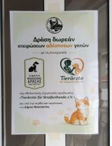 Ναύπακτος: Έως τις 27 Φεβρουαρίου η δράση δωρεάν στειρώσεων αδέσποτων γατών