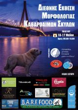 Η πρώτη διεθνής έκθεση σκύλων στην Πάτρα είναι γεγονός