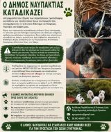 Ο Δήμος Ναυπακτίας καταδικάζει την εγκατάλειψη των ζώων συντροφιάς και καλεί τους πολίτες σε υπεύθυνη στάση