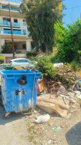Καταγγελία κατοίκου στην Αρόη Πατρών για νεκρό ζώο και αδιαφορία υπηρεσιών