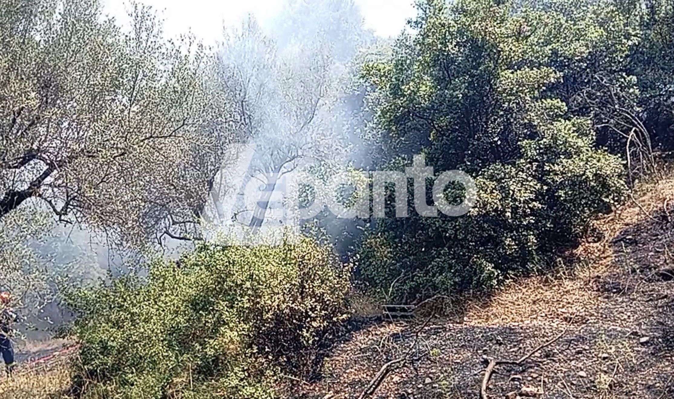 Υπό έλεγχο η μεγάλη φωτιά στη Μαμουλάδα Ναυπακτίας – Σώθηκαν σπίτια και ο Ιερός Ναός του Αγίου Πολυκάρπου