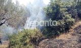 Υπό έλεγχο η μεγάλη φωτιά στη Μαμουλάδα Ναυπακτίας – Σώθηκαν σπίτια και ο Ιερός Ναός του Αγίου Πολυκάρπου