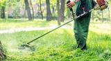 Παράταση έως τις 22 Ιουνίου για τον καθαρισμό και τη δήλωση οικοπέδων