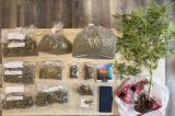 Συνελήφθη άνδρας για διακίνηση ναρκωτικών στην Πάτρα