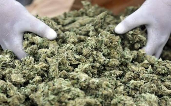 Κιάτο: Συνελήφθη 43χρονος με ποσότητα κάνναβης