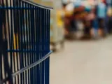 Ακρίβεια: Πώς αλλάζει τις συνήθειες των καταναλωτών - Τι δείχνουν τα στοιχεία έρευνας